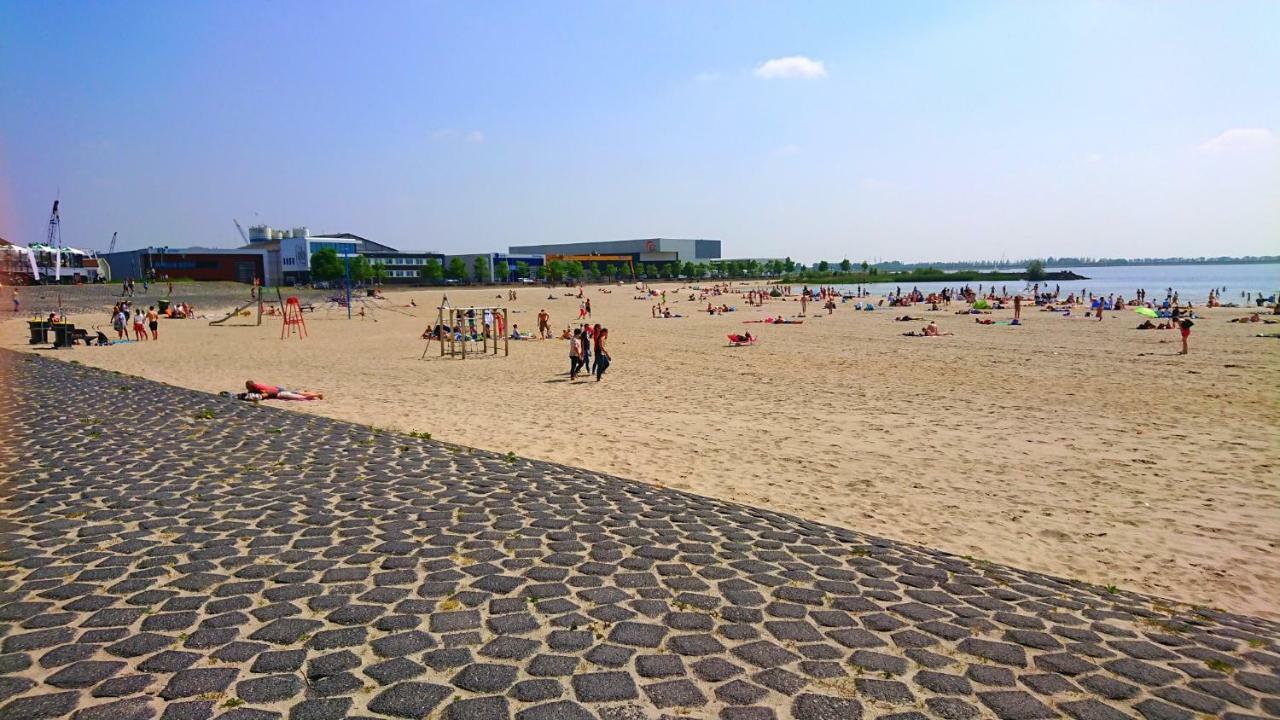 Plattedijk - Vakantiehuis 25-41 ليمير المظهر الخارجي الصورة